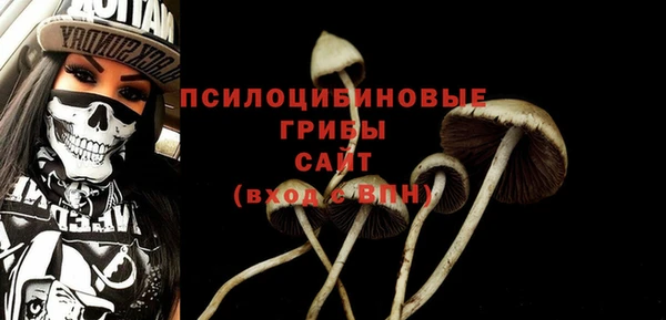 бошки Карпинск