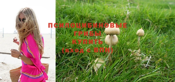 бошки Карпинск