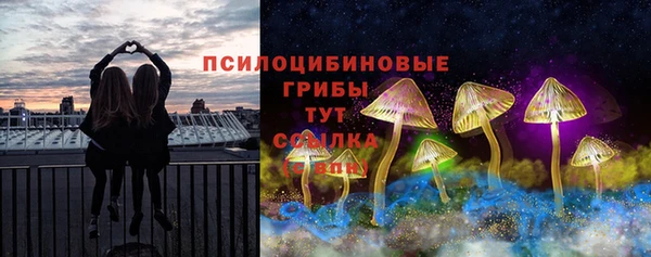 бошки Карпинск